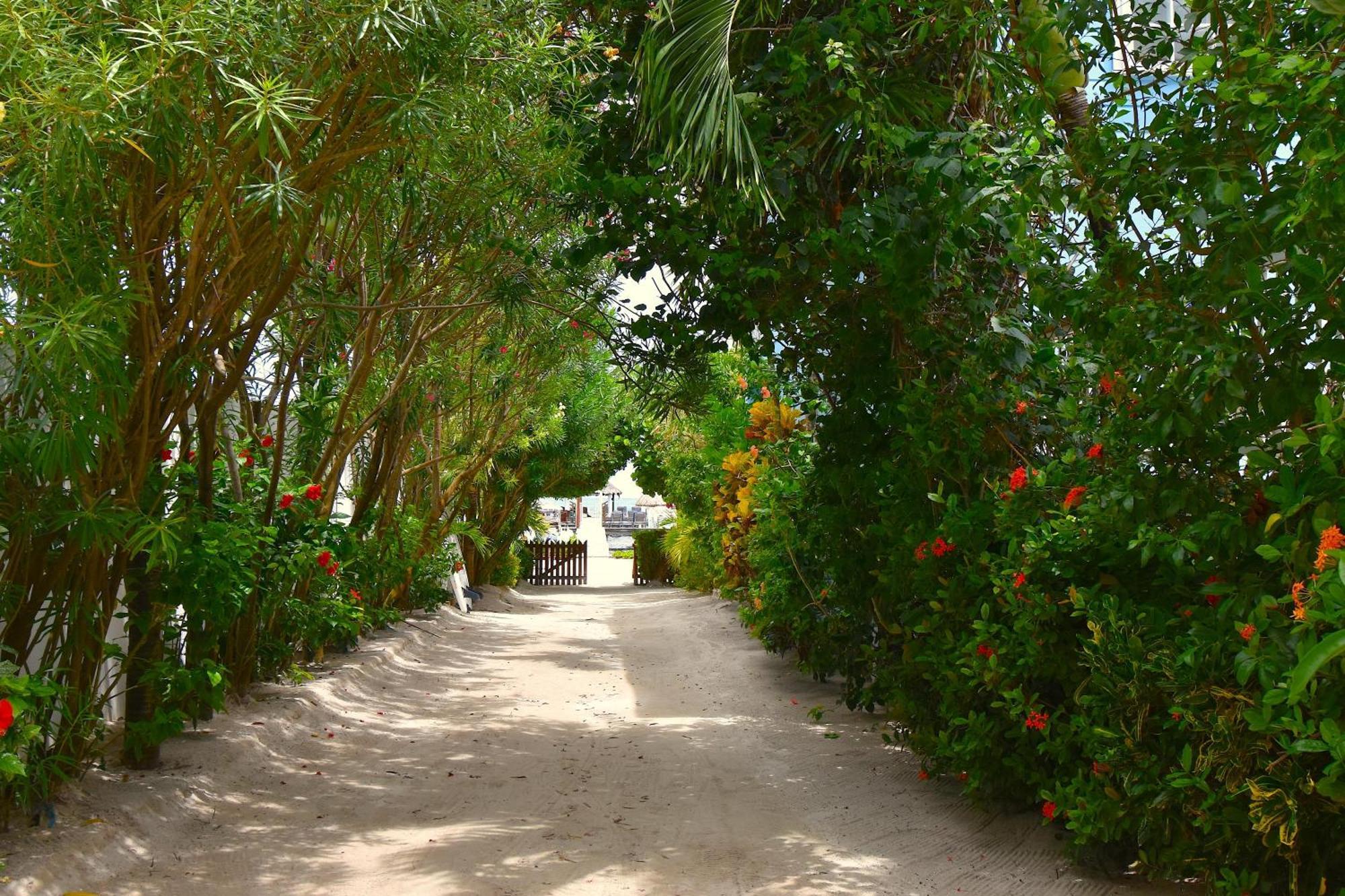 Palmetto Garden Cottage Caye Caulker Bagian luar foto