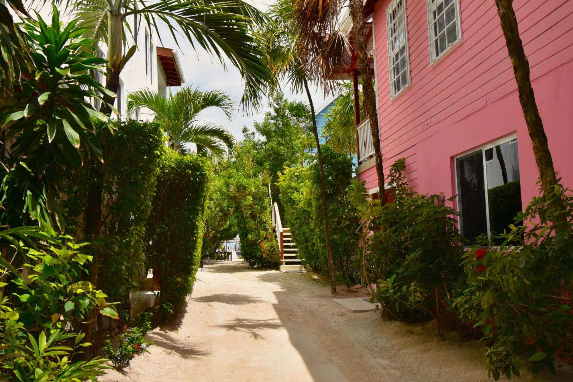 Palmetto Garden Cottage Caye Caulker Bagian luar foto